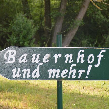 Kleine Einzigartige Ferienwohnung Auf Dem Bauernhof, Direkt In Der Natur Mit Blick Auf Schloss Braunfels Buitenkant foto