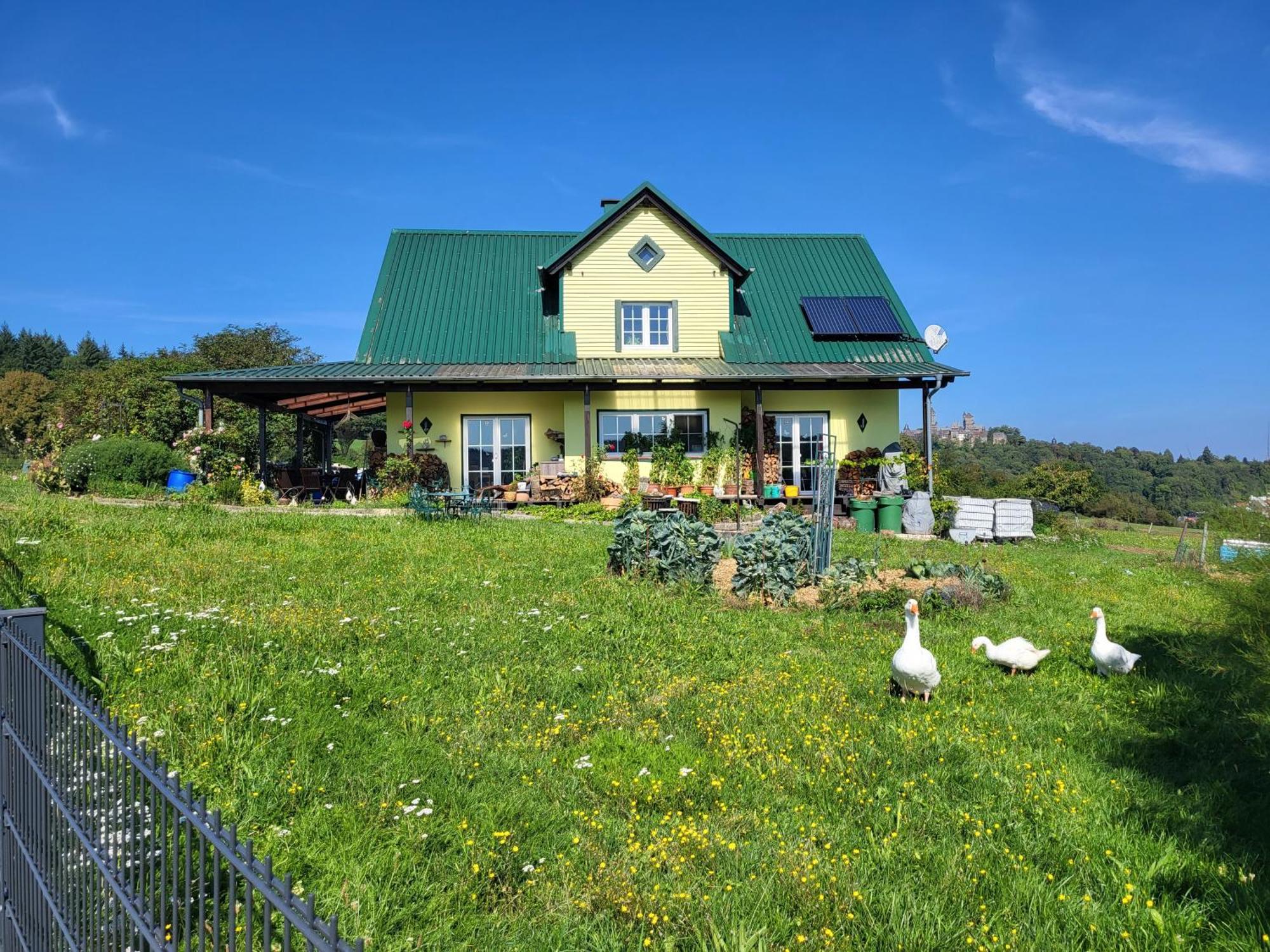 Kleine Einzigartige Ferienwohnung Auf Dem Bauernhof, Direkt In Der Natur Mit Blick Auf Schloss Braunfels Buitenkant foto