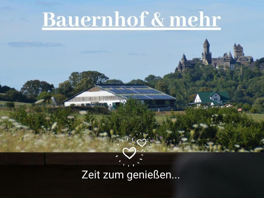 Kleine Einzigartige Ferienwohnung Auf Dem Bauernhof, Direkt In Der Natur Mit Blick Auf Schloss Braunfels Buitenkant foto