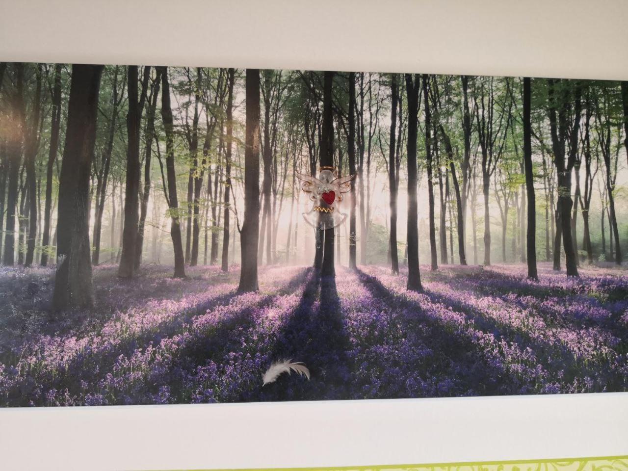 Kleine Einzigartige Ferienwohnung Auf Dem Bauernhof, Direkt In Der Natur Mit Blick Auf Schloss Braunfels Buitenkant foto