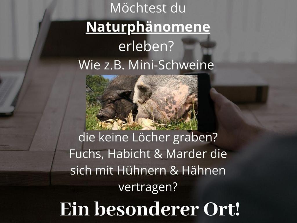 Kleine Einzigartige Ferienwohnung Auf Dem Bauernhof, Direkt In Der Natur Mit Blick Auf Schloss Braunfels Buitenkant foto
