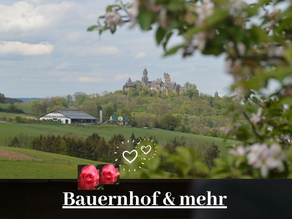 Kleine Einzigartige Ferienwohnung Auf Dem Bauernhof, Direkt In Der Natur Mit Blick Auf Schloss Braunfels Buitenkant foto
